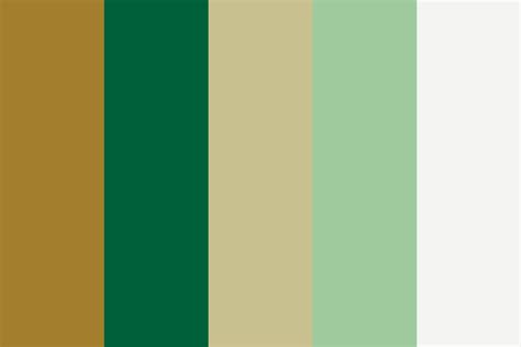 rolex color palette